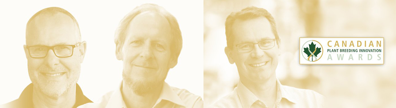 Headshots of Tom Smith, Peter Pauls and Istvan Rajcan with a logo that says Canadian Plant Breeding Innovation Awards.