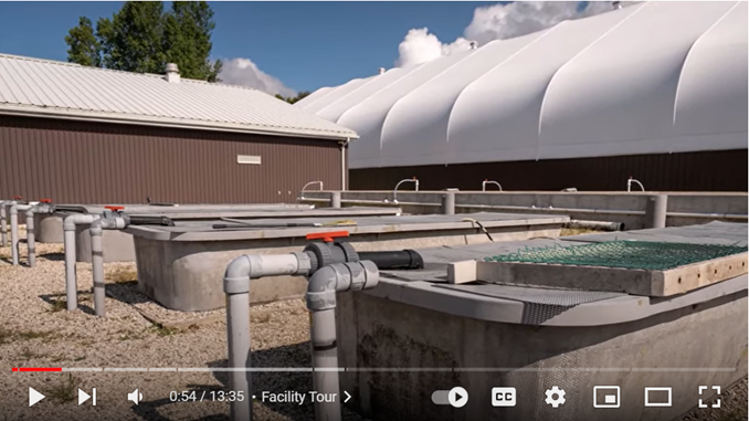 Large outdoor tanks made from fiberglass and poured concrete used for breeding