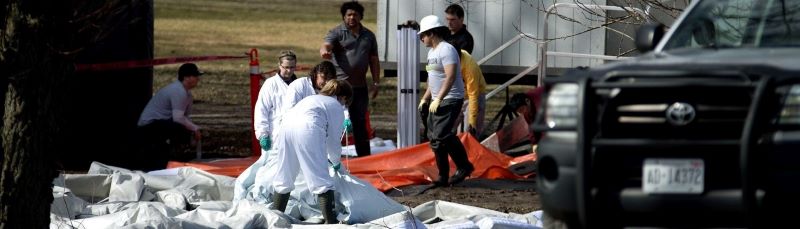 A group of seven Canadian Food Inspection Agency workers, three of whom are wearing white coveralls and gloves, work outside with large tarps to place a poultry farm under quarantine.