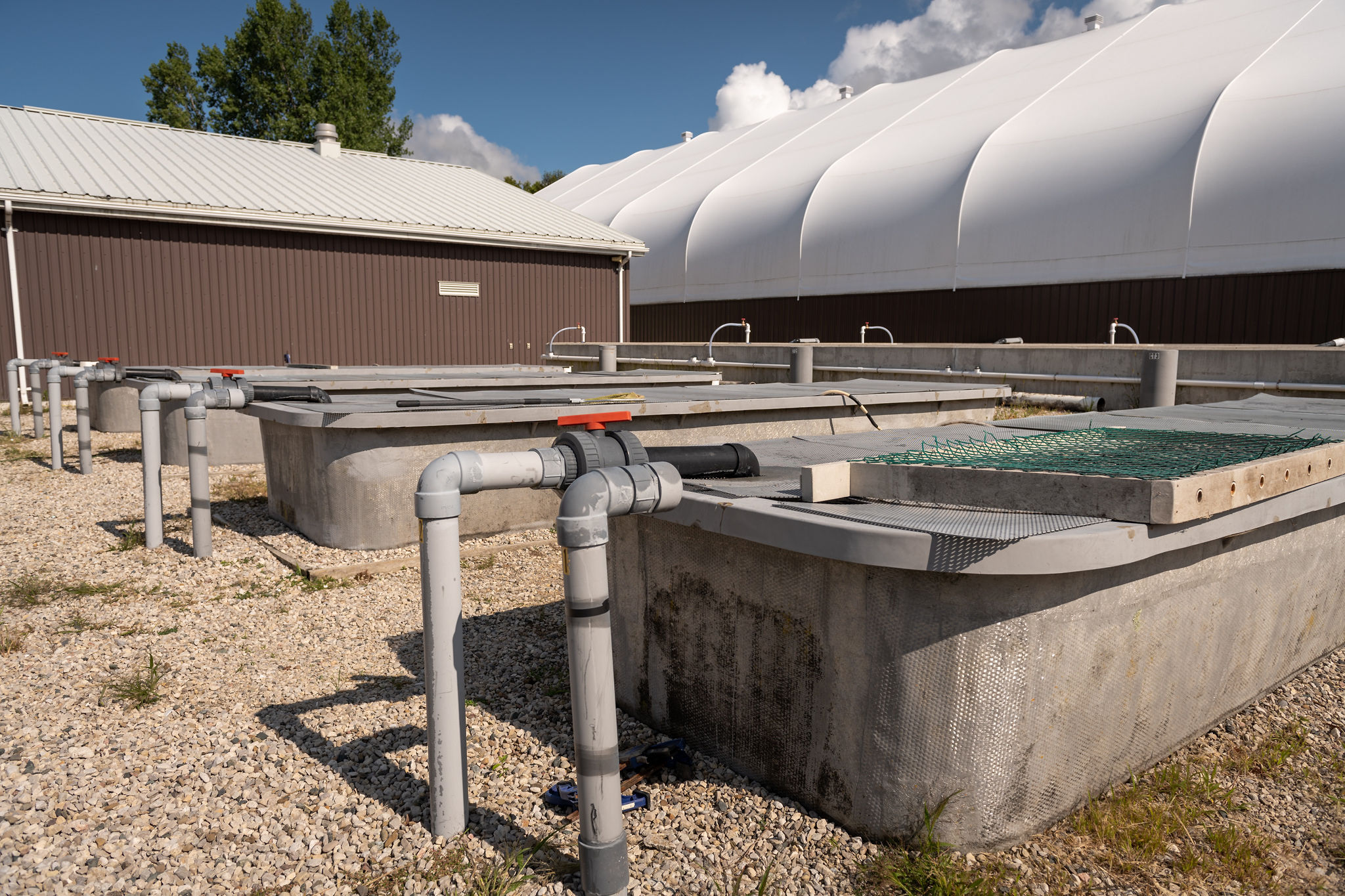 Large outdoor tanks made from fiberglass and poured concrete used for breeding