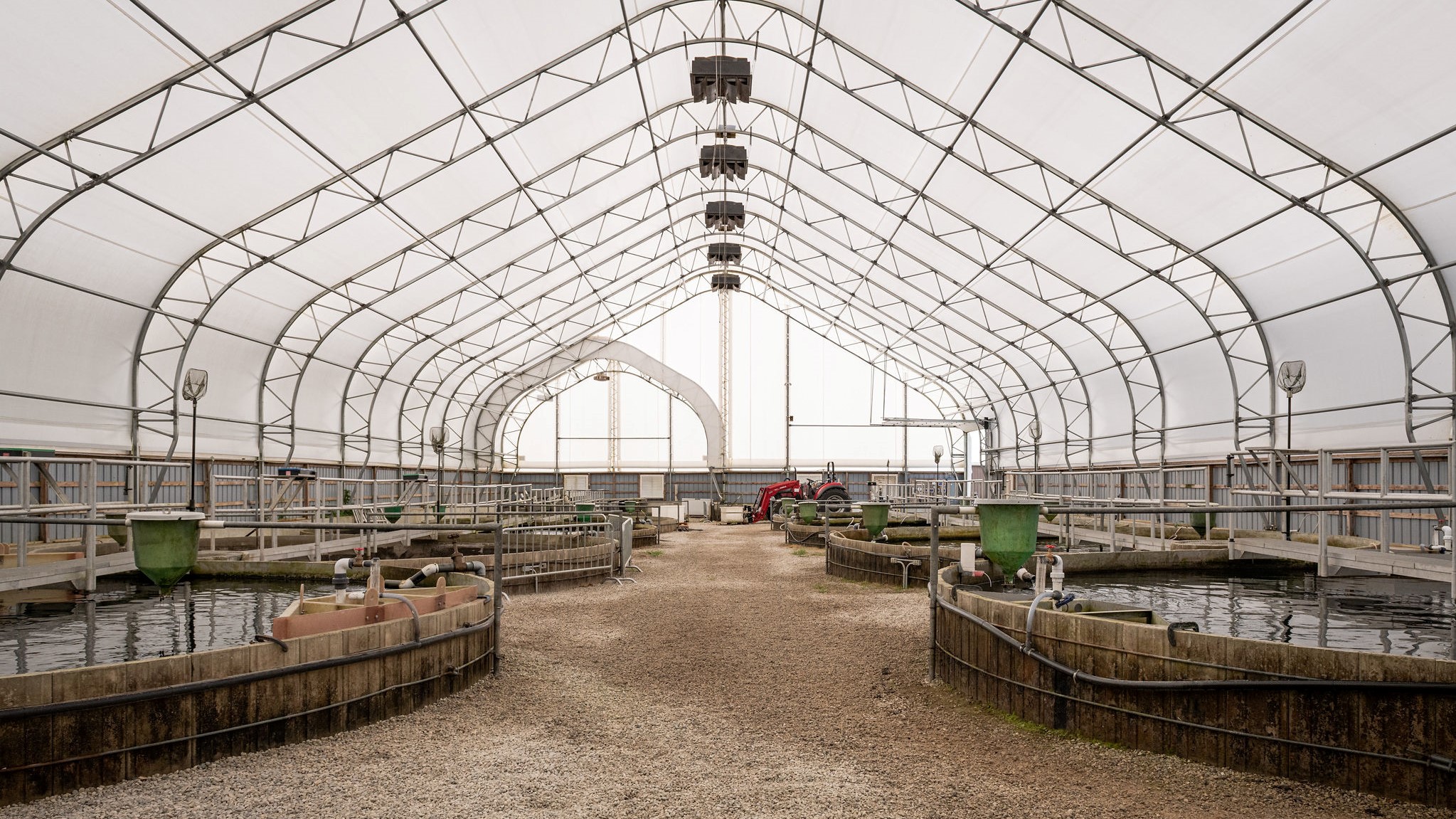 Large outdoor tanks made from fiberglass and poured concrete used for breeding