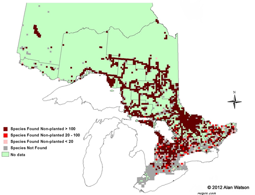 Ontario Tree Atlas map of non-planted Tamarack. 1995-1999.