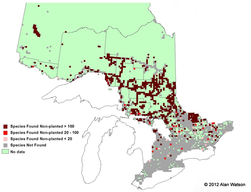 Ontario Tree Atlas map of non-planted Jack Pine. 1995-1999.