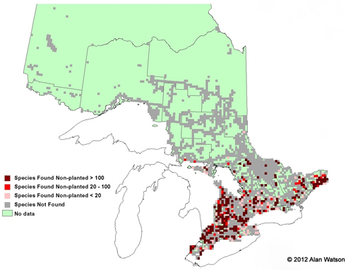 Ontario Tree Atlas map of non-planted Freeman's Maples. 1995-1999.