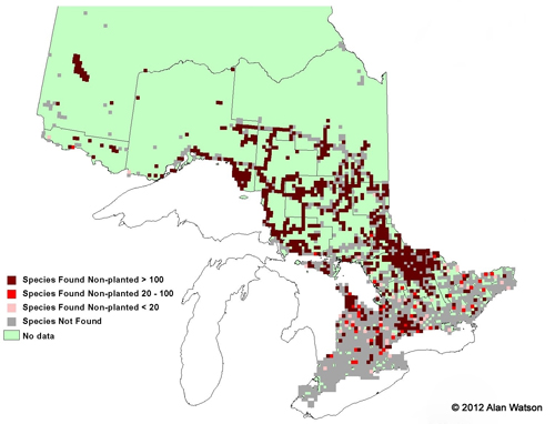 Ontario Tree Atlas map of non-planted Mountain Maples. 1995-1999.