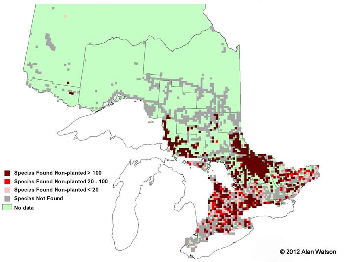 Ontario Tree Atlas map of non-planted Yellow Birch. 1995-1999.