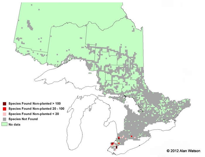 Ontario Tree Atlas map of non-planted Shellbark Hickory. 1995-1999.