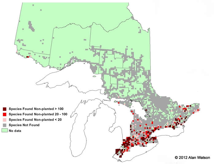 Ontario Tree Atlas map of non-planted Eastern Cottonwood. 1995-1999.