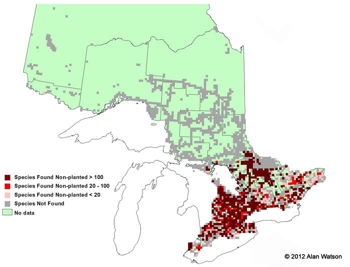 Ontario Tree Atlas map of non-planted Black Cherry. 1995-1999.