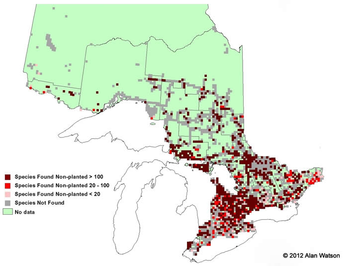Ontario Tree Atlas map of non-planted Choke Cherry. 1995-1999.