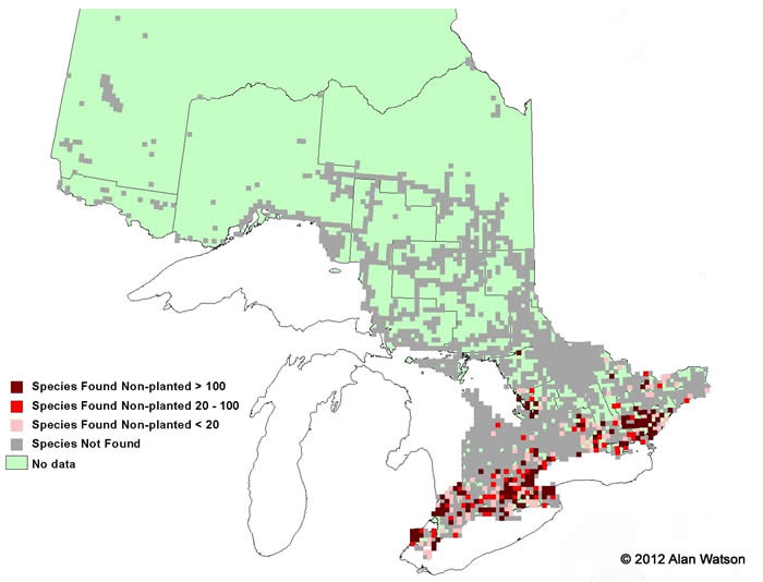 Ontario Tree Atlas map of non-planted White Oak. 1995-1999.