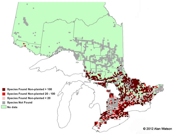 Ontario Tree Atlas map of non-planted Red Oak. 1995-1999.