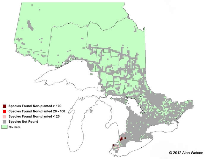 Ontario Tree Atlas map of non-planted Shumard Oak. 1995-1999.