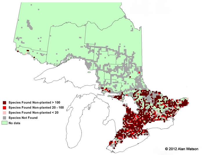 Ontario Tree Atlas map of non-planted American Basswoods. 1995-1999.
