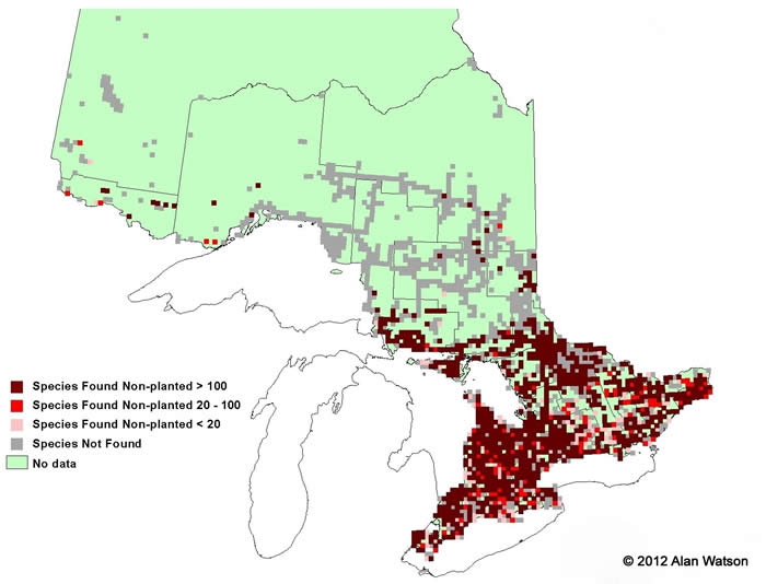Ontario Tree Atlas map of non-planted White Elm. 1995-1999.
