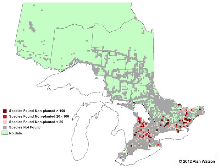 Ontario Tree Atlas map of non-planted Rock Elm. 1995-1999.