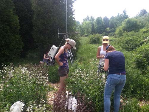 Field Researchers doing pollinator surveys at one of the Micro-Climate Pollinator Research Gardens.