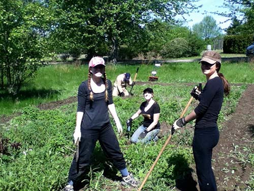 Students weeding the gardens
