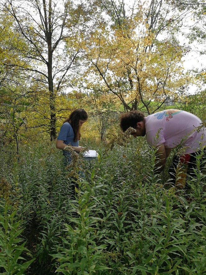 Muller et al. collecting data in the field