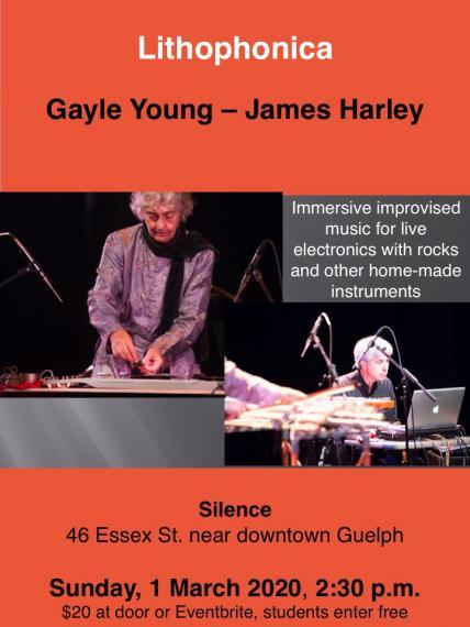 Gayle Young (on left) and James Harley (on right) playing instruments.