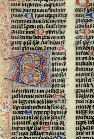 Pen-flourised initial in blue and red with eggplants from a Breviary volume.