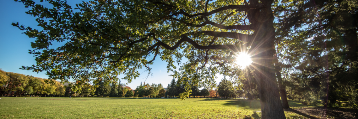 Johnston Green