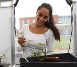 University of Guelph Student holding a plant