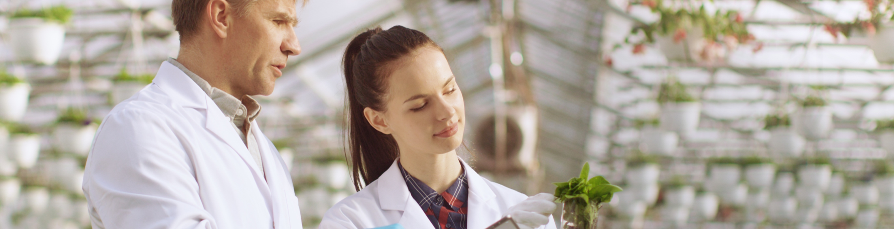 Two people in lab coats examining a plant