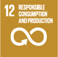 #12 Responsible consumption and production