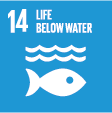 #14 Life below water