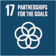 #17 Partnerships for the goals