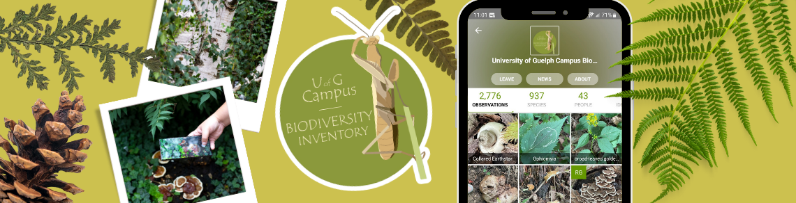 UofG Biodiversity Inventory 