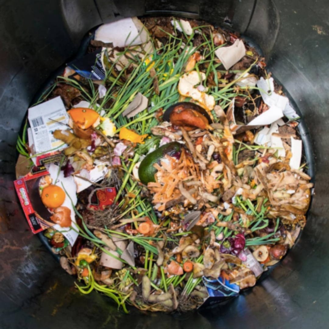 a filled backyard bin