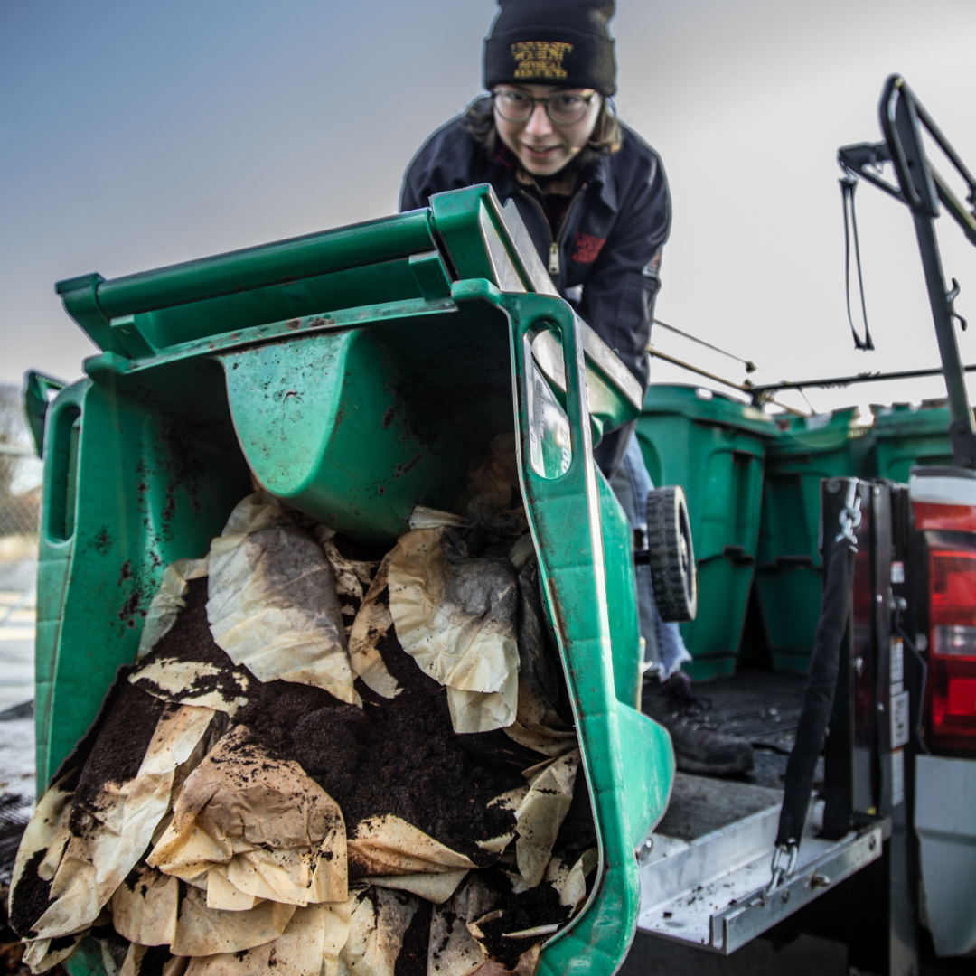 person emptying a compost bin