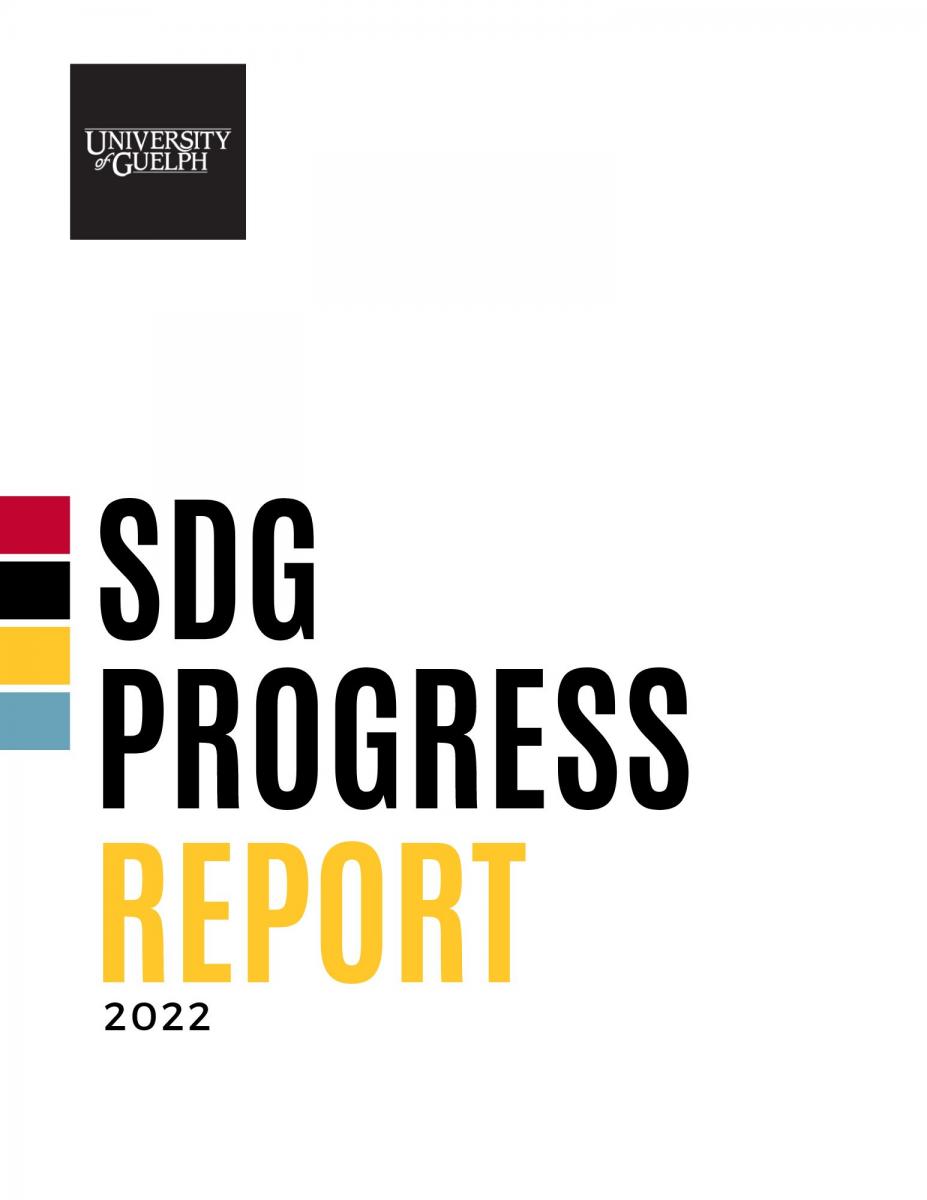link to the SDG progress report