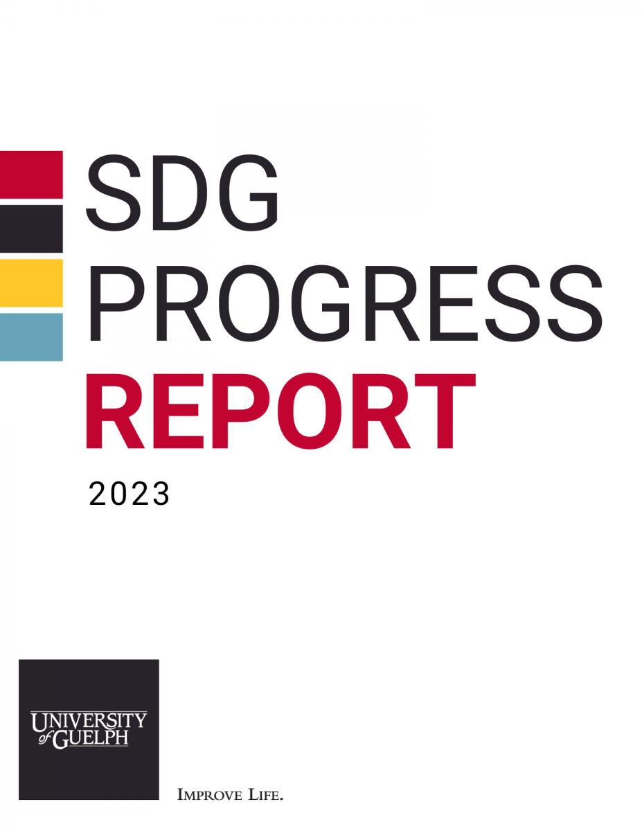 link to the SDG progress report