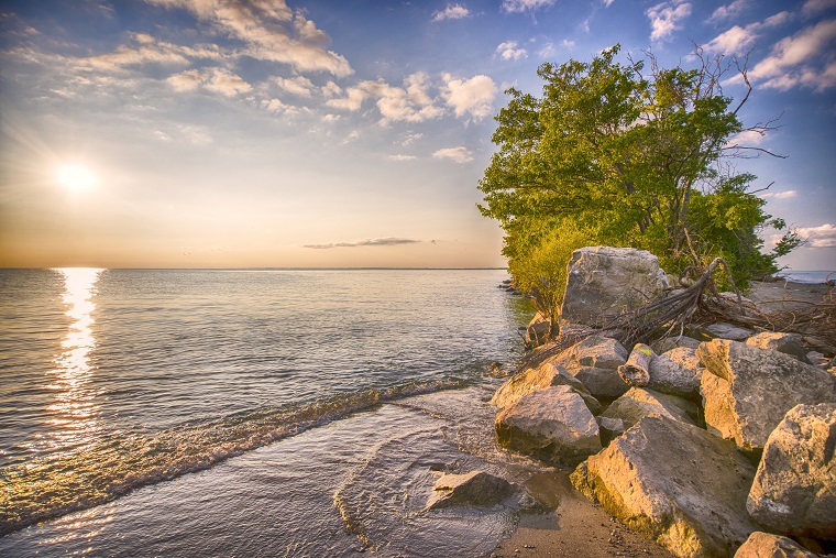 shoreline by a lake