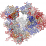 A model of a ribosome in a eukaryotic cell (image by Fvoigtsh, CC BY-SA 3.0)