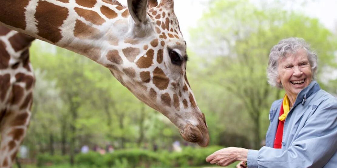 Dr. Anne Innis Dagg and a giraffe