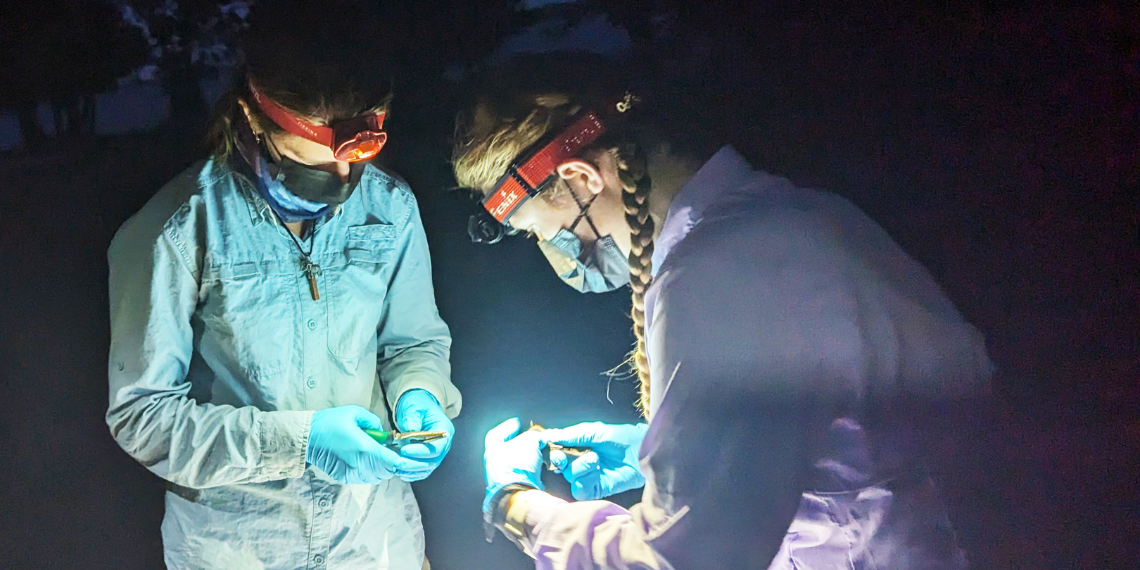 Researchers Alexandria Cosby and Genevieve Kleefisch in the field