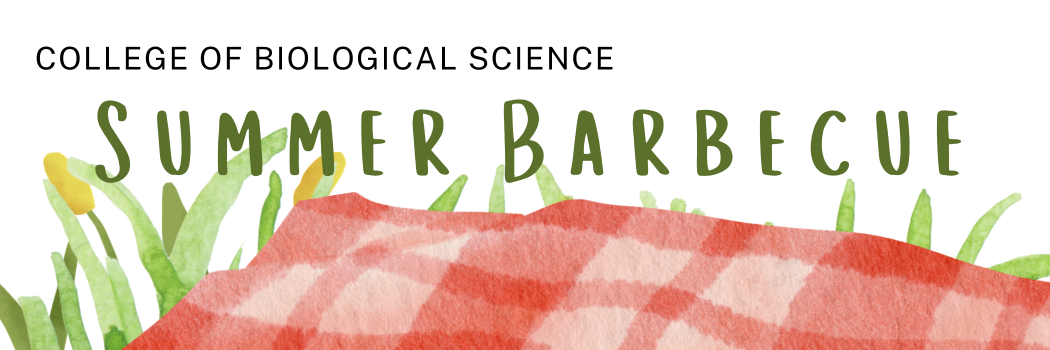 CBS Summer Barbecue