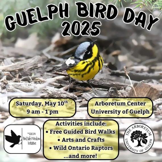 Guelph Bird Day 2025: Saturday, May 10 from 9 a.m. to 1 p.m.. Arboretum Centre, University of Guelph. Activities include free guided bird walks, arts and crafts, Wild Ontario raptors