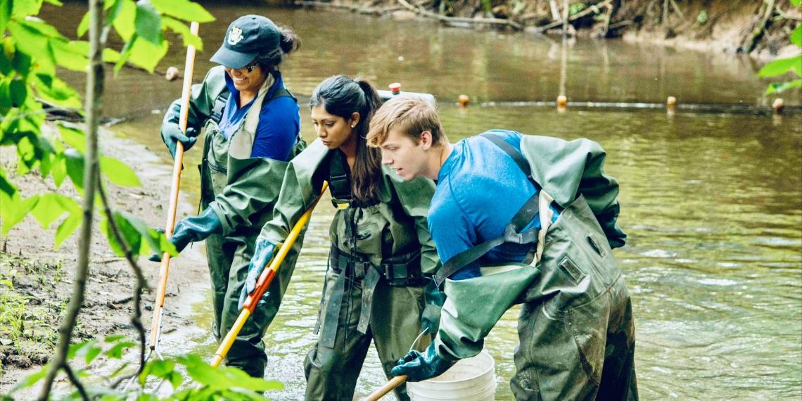 Researchers collecting samples in a stream
