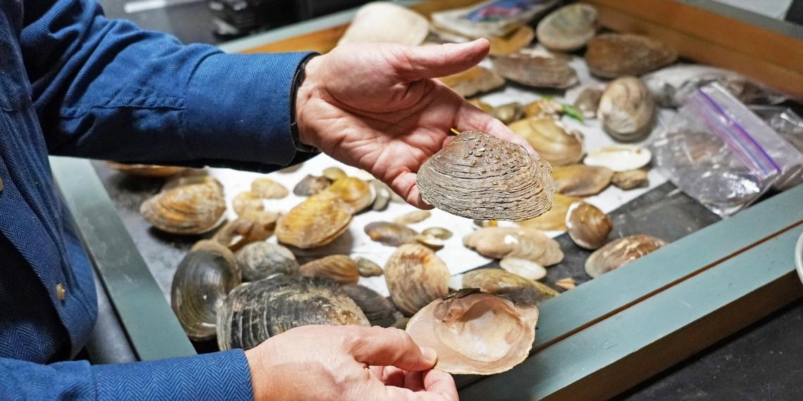 Dr. Josef Ackerman holds freshwater mussels