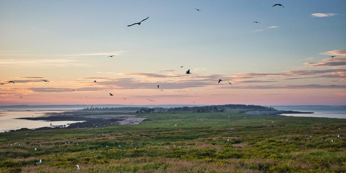 Sunset at Kent Island, N.B.