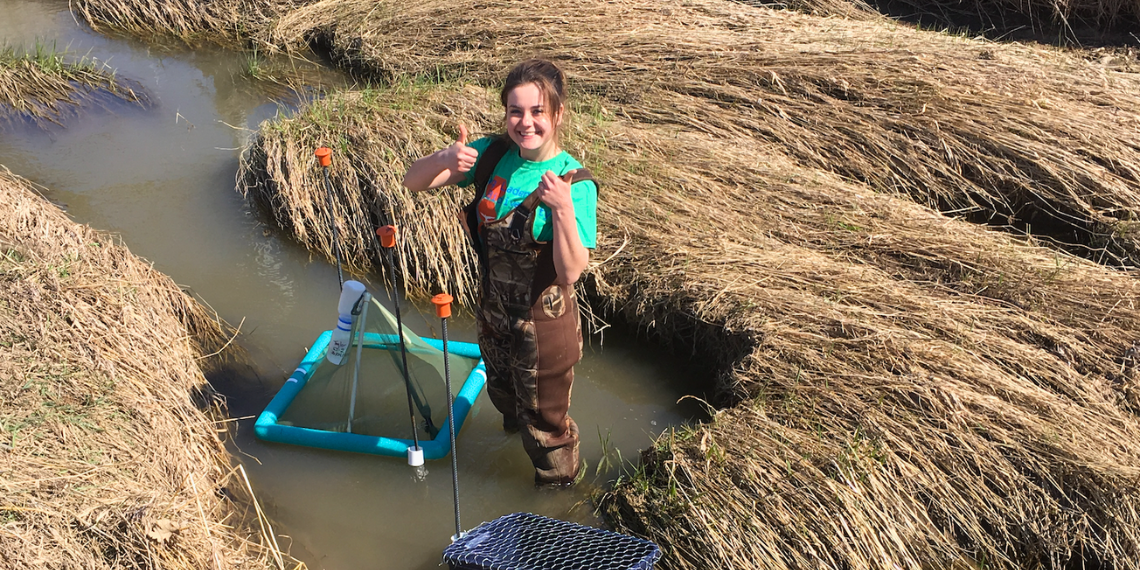 Marie Gutgesell conducts research in a stream