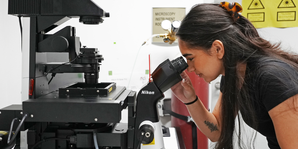 Mojda Rashidi looks through the microscope