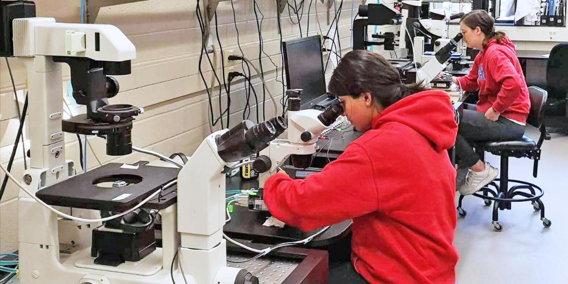 Researchers in the lab in ANNU