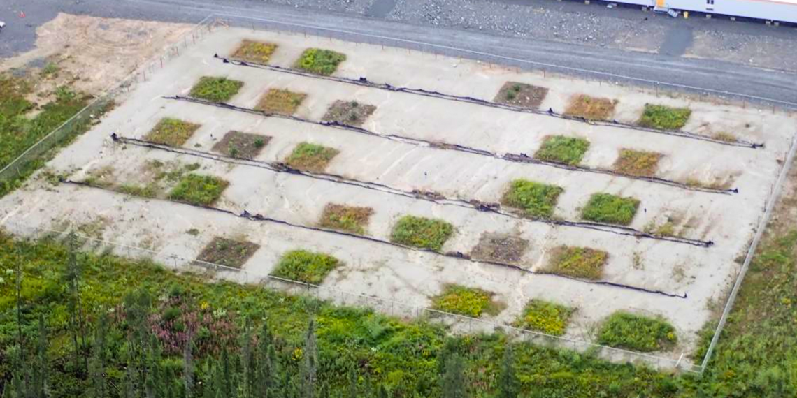 Aerial photo showing different soil treatments
