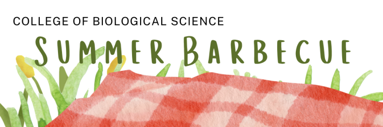 CBS Summer Barbecue